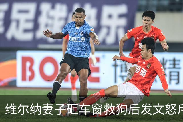 维尔纳妻子砸车窗救狗后发文怒斥主人：30度的天怎能把狗关车上？